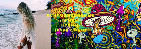 первитин Арсеньев