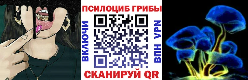 цена   Шумиха  Галлюциногенные грибы мицелий 