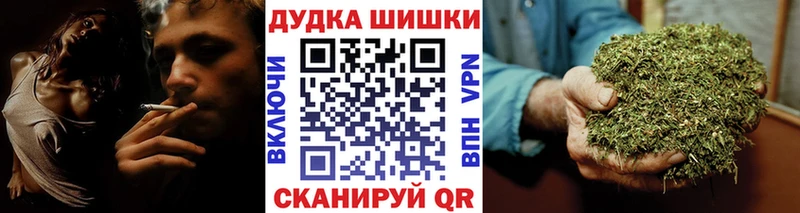 Бошки Шишки семена как найти закладки Шумиха